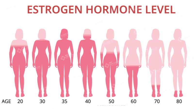 luong-estrogen-o-phu-nu-qua-cac-thoi-ky