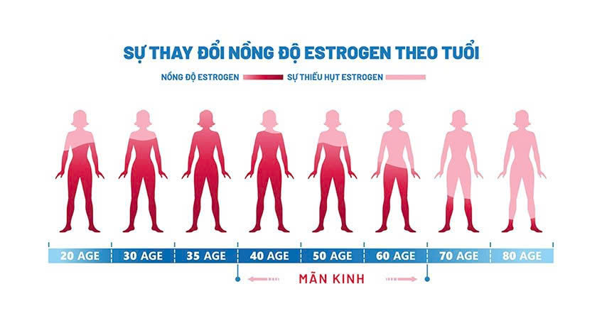 Sơ đồ minh họa sự thay đổi nồng độ hormone theo tuổi